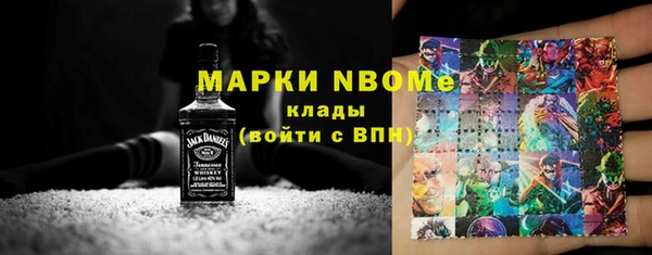 гидра Бородино