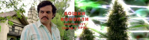 гидра Бородино
