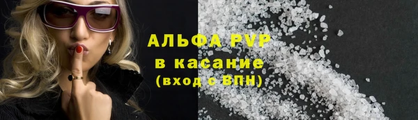 гидра Бородино