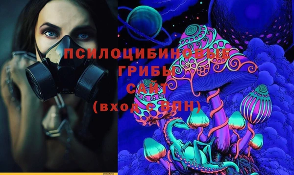 гидра Бородино