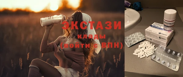 гидра Бородино
