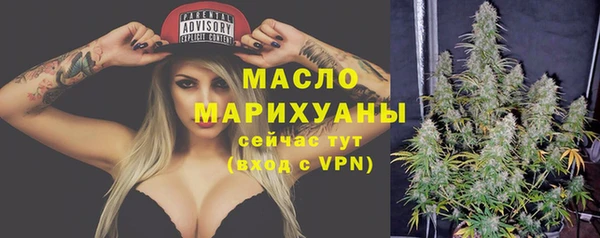 гидра Бородино